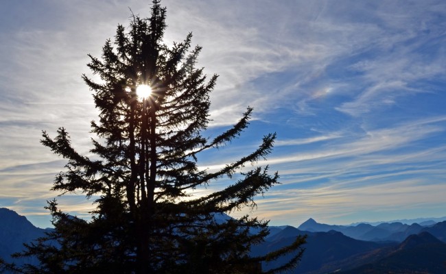 Potočka zijalka - foto: Barbara Debeljak