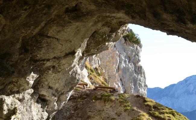 Potočka zijalka - foto: Barbara Debeljak
