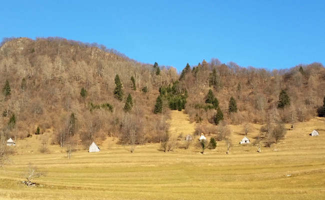 20151227_141947