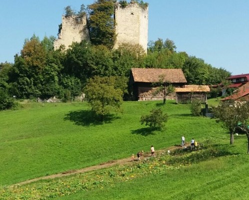 image-0-02-01-f1723c13ce7aa824a354ce6c83350a408c00c0142e5bbb78e3057c4fbc423d02-V